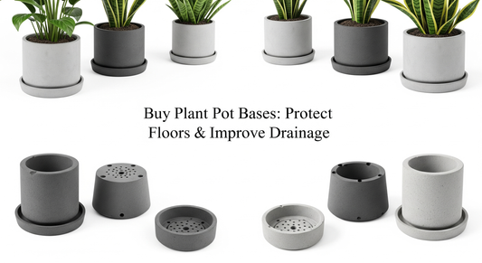 Buy Plant Pot Bases: Protect Floors & Improve Drainage
