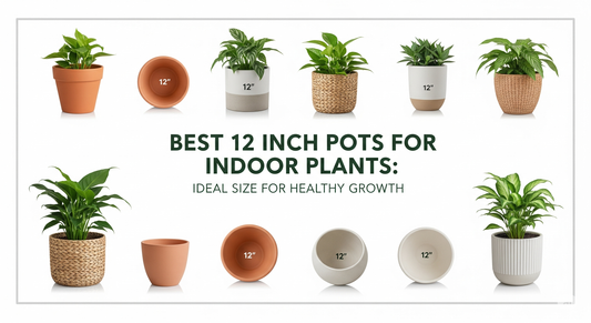 Best 12 Inch Pots for Indoor Plants: Ideal Size for Healthy Growth