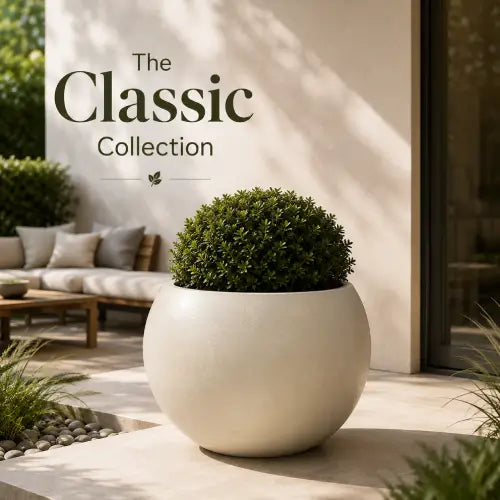Classic Collection