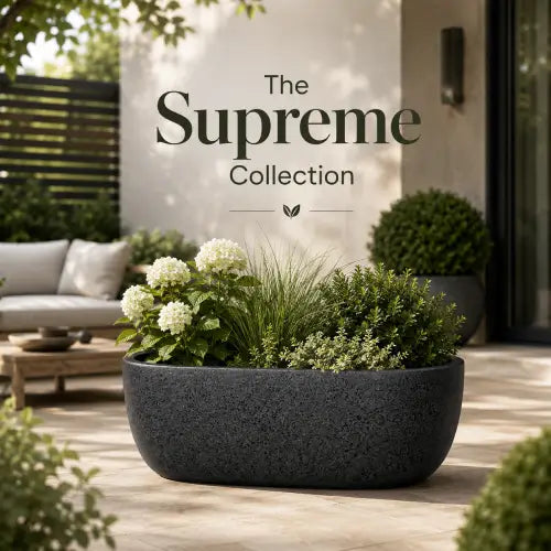 Supreme Collection