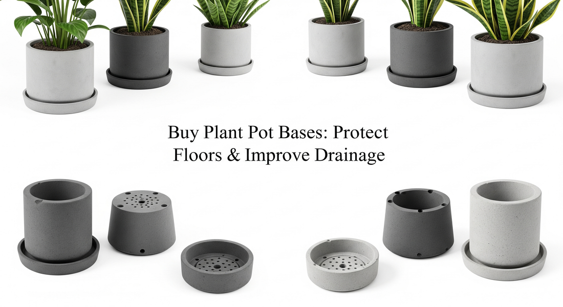 Buy Plant Pot Bases: Protect Floors & Improve Drainage