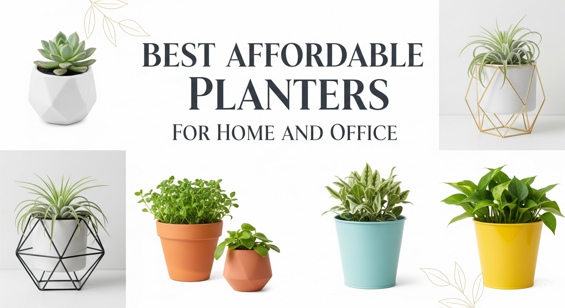 Best Budget-Friendly Planters for Homes and Workspaces