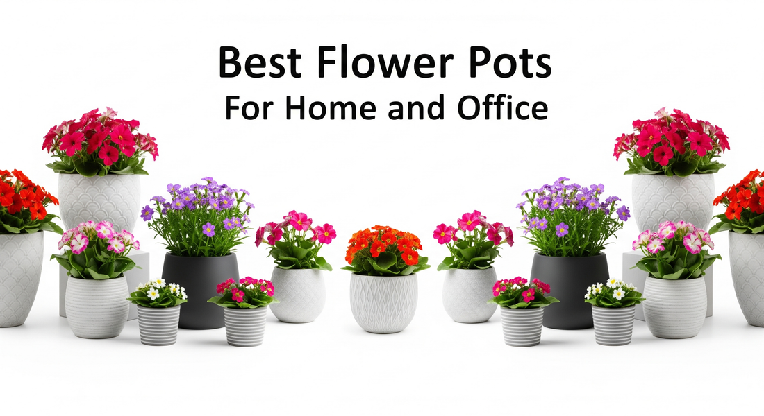 Best Flower Pot Sizes For Home and Office