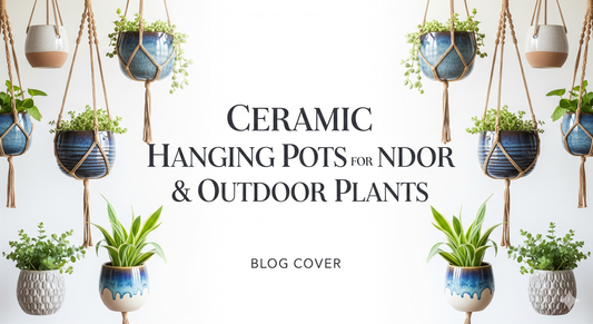 Ceramic Hanging Pots for Indoor & Outdoor Plants | Stylish Planters