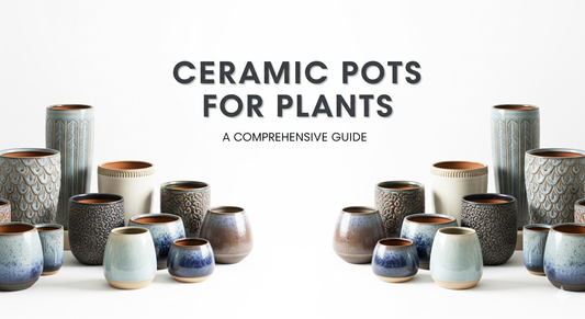 Ceramic Pots for Plants | Durable & Stylish Planters for Home & Garden