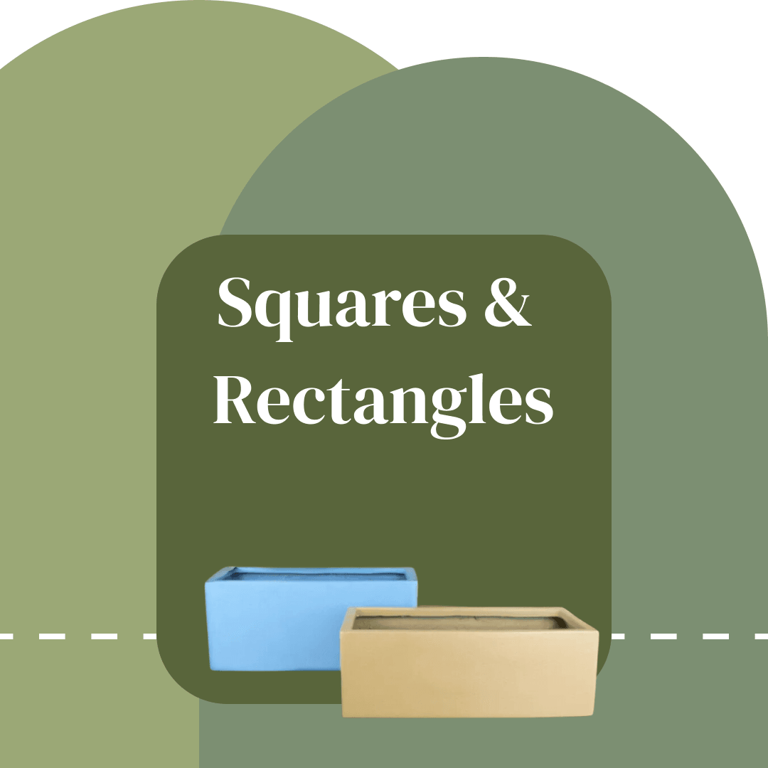 The Squares & Rectangles Collection