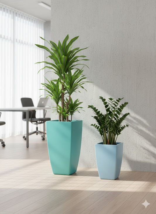 Decorative Indoor Planters FRA10