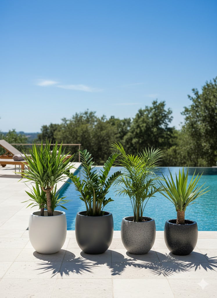 Stylish Planters for Home FRA14 - My Store