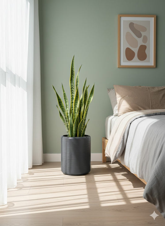 High-end Outdoor Planter FRA38 - My Store