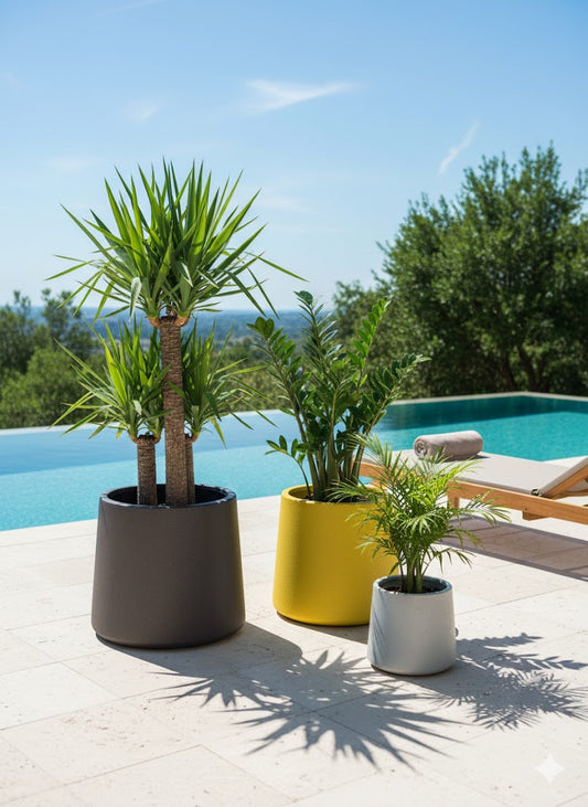 Modern Indoor Planters FRA70 - My Store