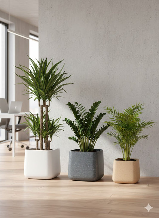 Square Indoor Planters FRA71 - My Store