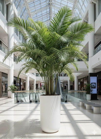 Huge Cylindrical Outdoor Planter FRA87 - My Store