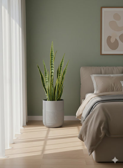 Modern Luxury Planter FRA93 - My Store