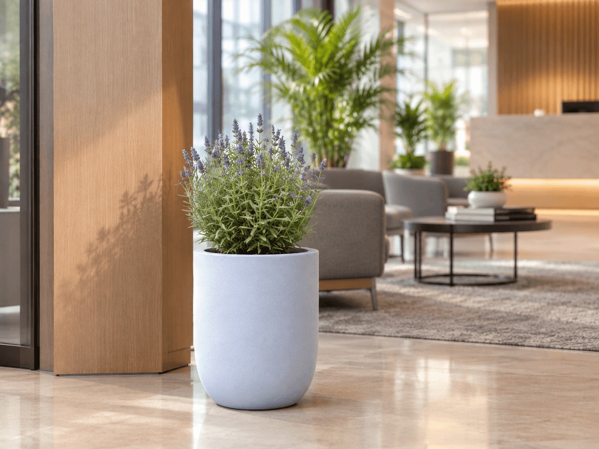 Cylindrical Planters FRA11 - My Store