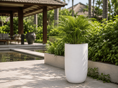 Cylindrical Planters FRA11 - My Store