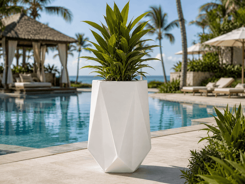 Big Star Pentagon Planter FRA45 - My Store