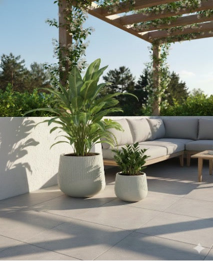 Minimalist Premium Planters FRA95 - My Store