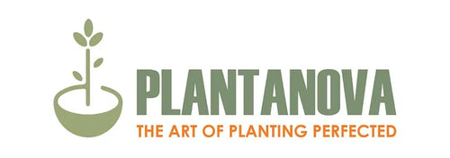 Plantanova Planters
