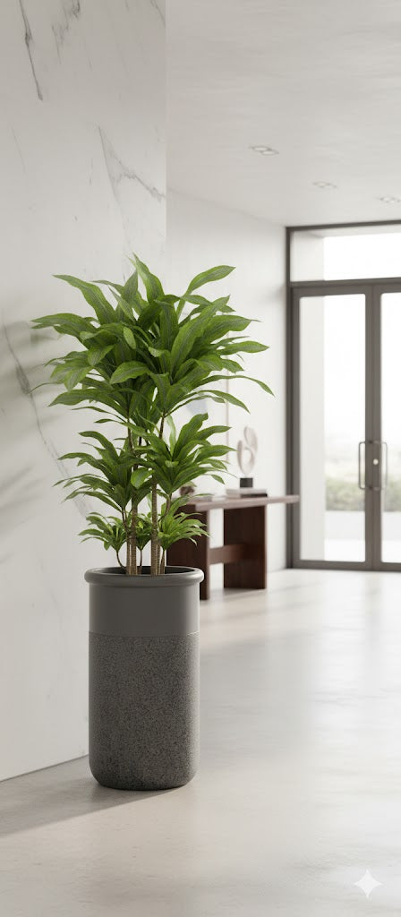 Big Planter FRA42 - My Store
