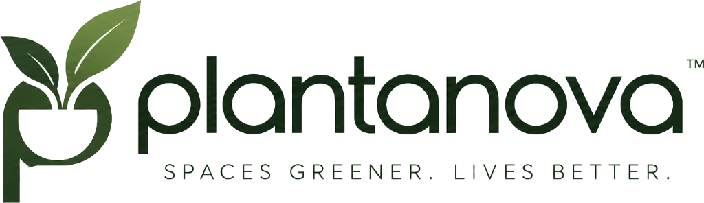 Plantanova Planters